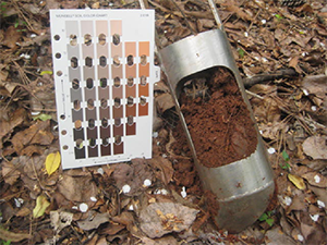 Soil Sample